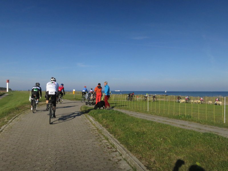 RTF Almabtrieb 061